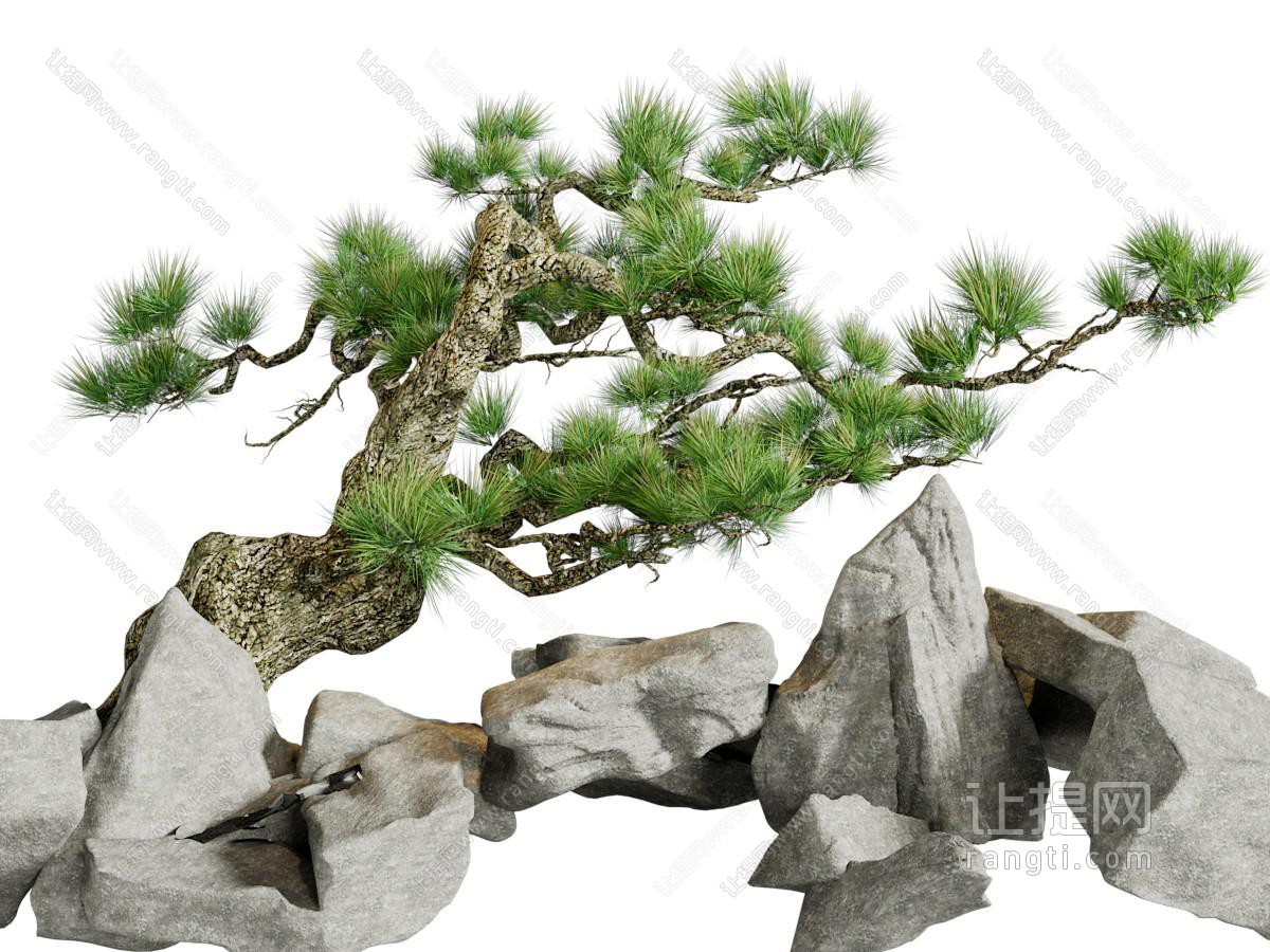 中式松树、石头景观园艺小品