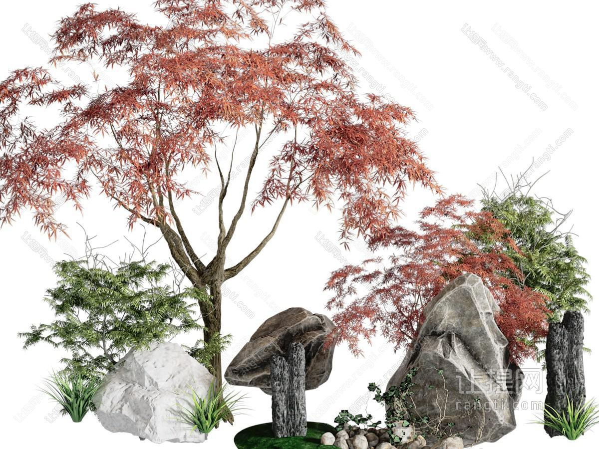 中式石头、枫树景观园艺小品