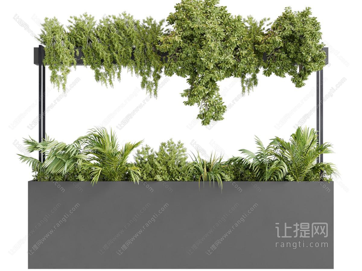 现代户外带花架的盆栽植物