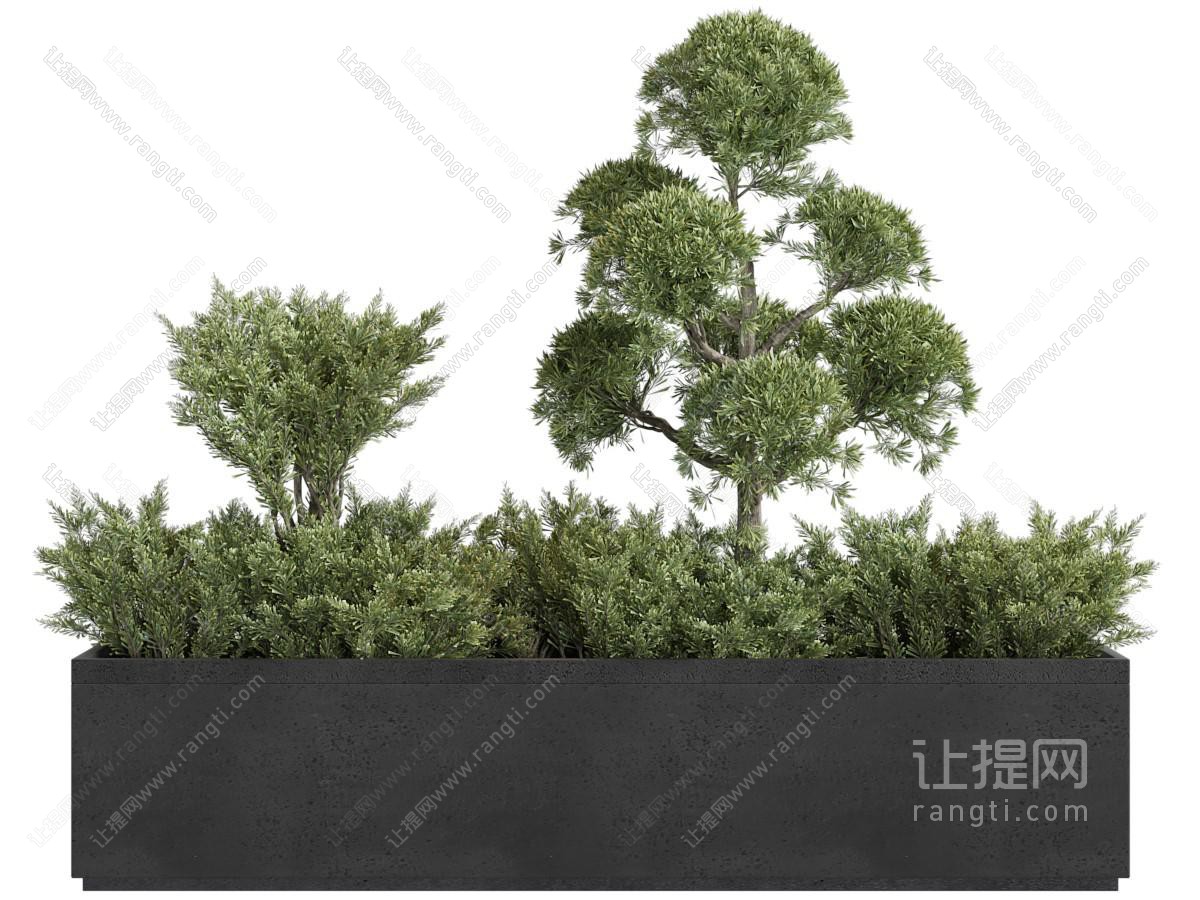 现代长方形户外花盆盆栽植物