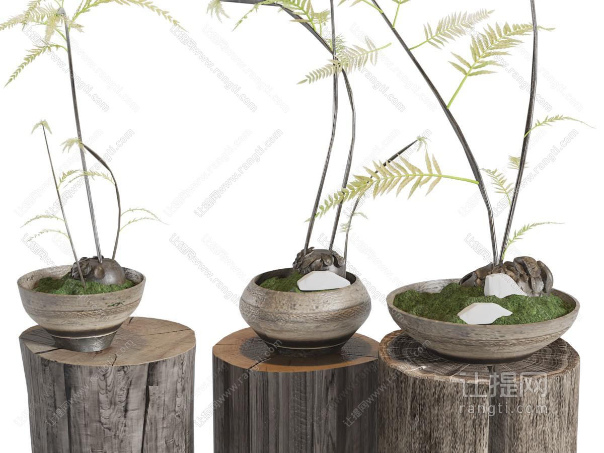 侘寂风花盆盆栽植物木桩摆件组合