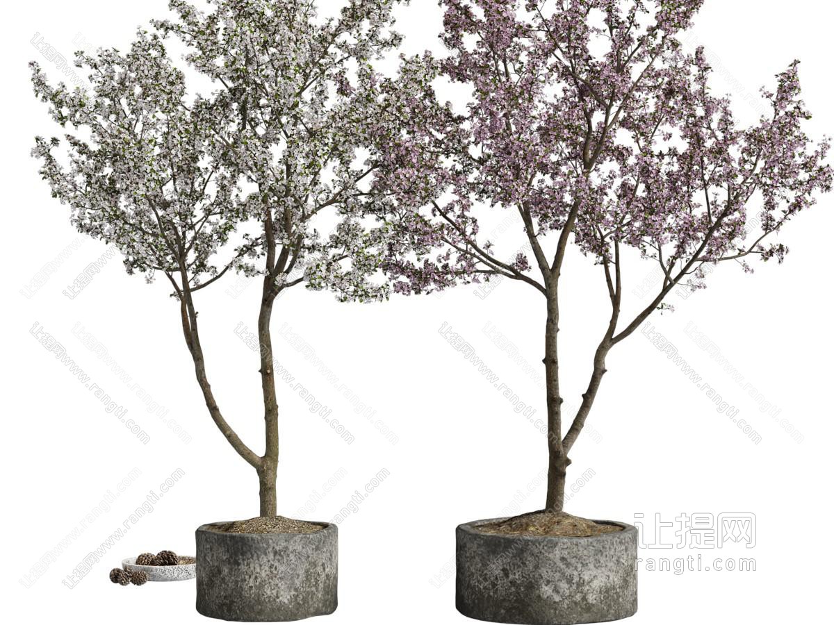 新中式水泥花盆、花树盆栽植物