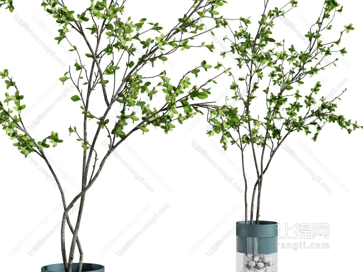 现代树枝花瓶花卉