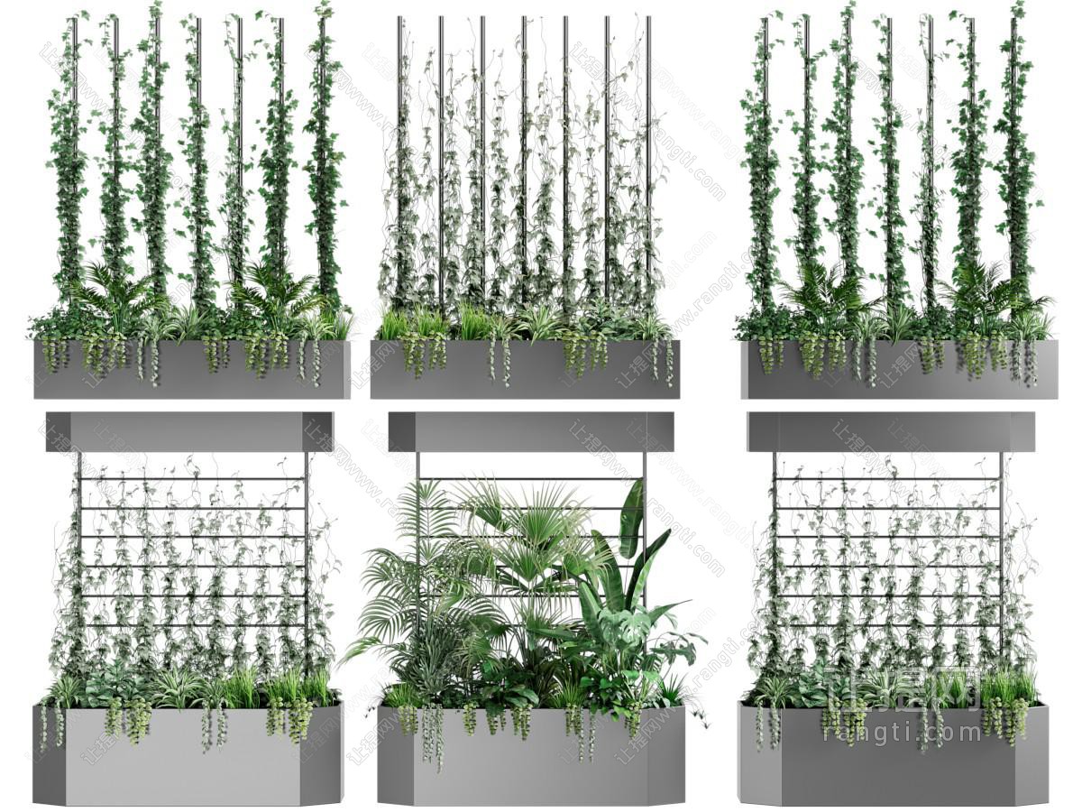 现代藤蔓植物、背景墙