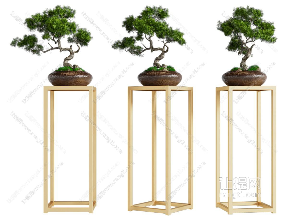 新中式花架松树盆景盆栽