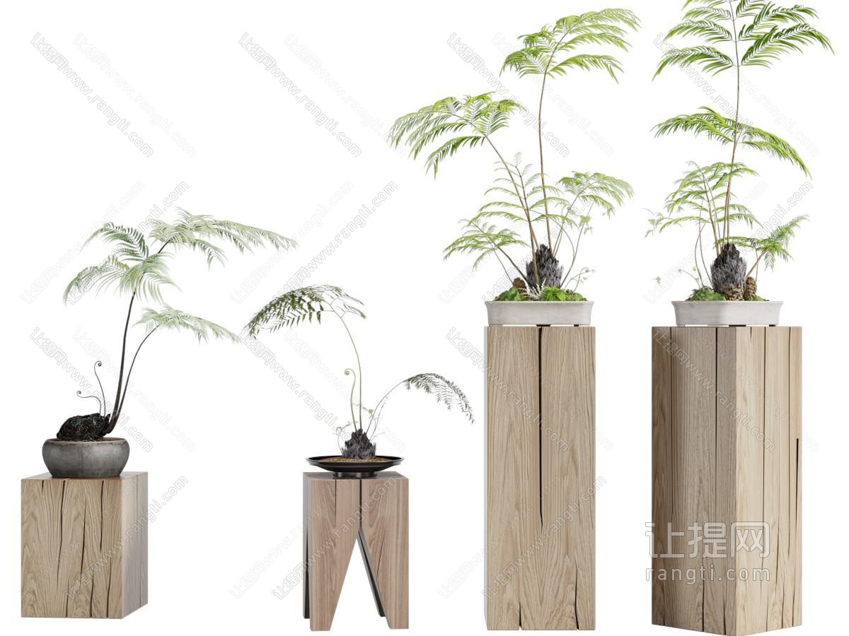 新中式实木花架盆景盆栽