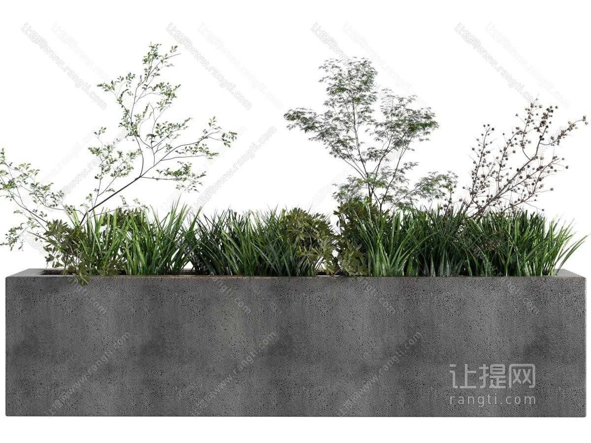 现代长方形水泥花坛盆栽植物