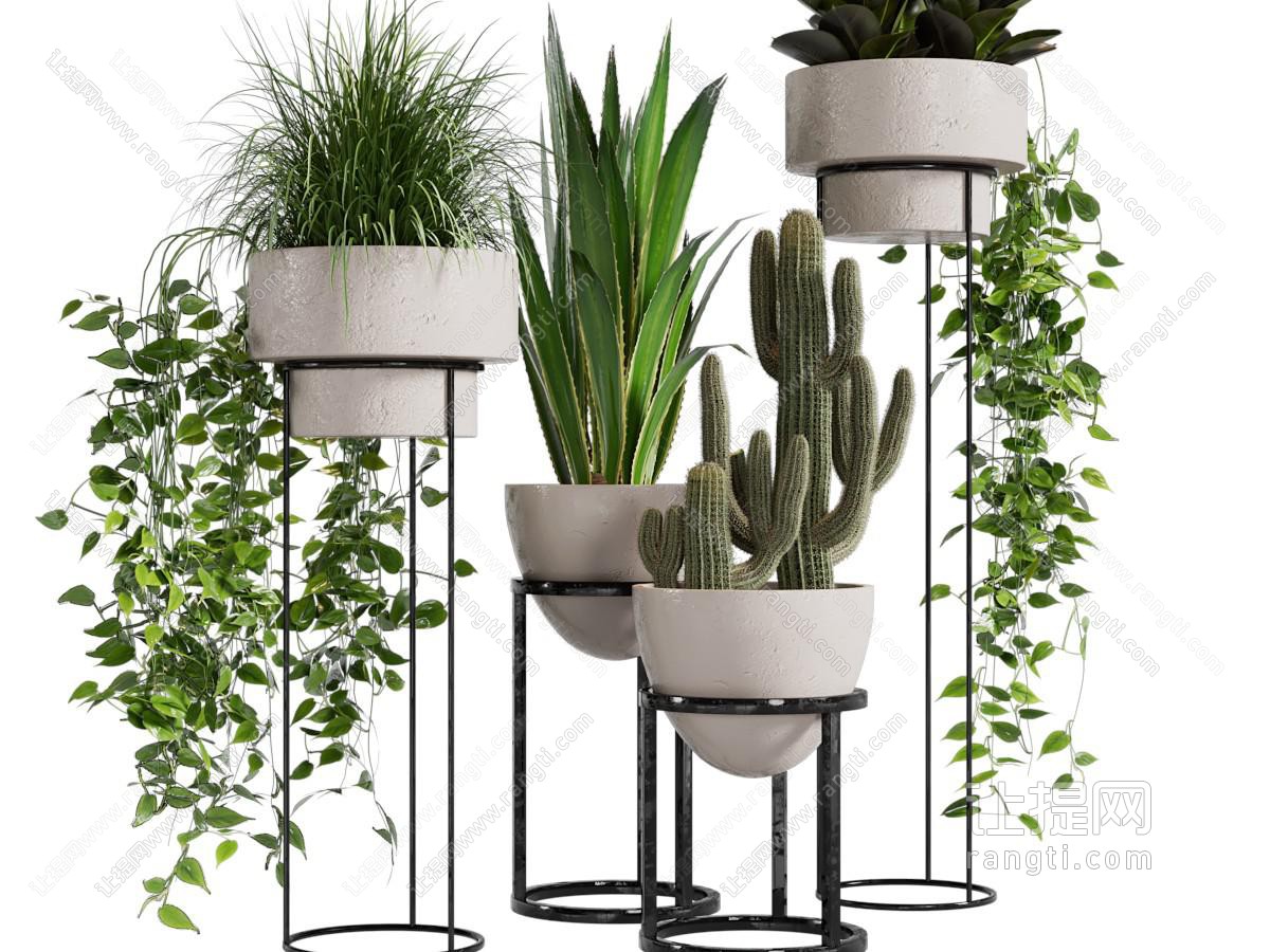 现代花架盆栽植物
