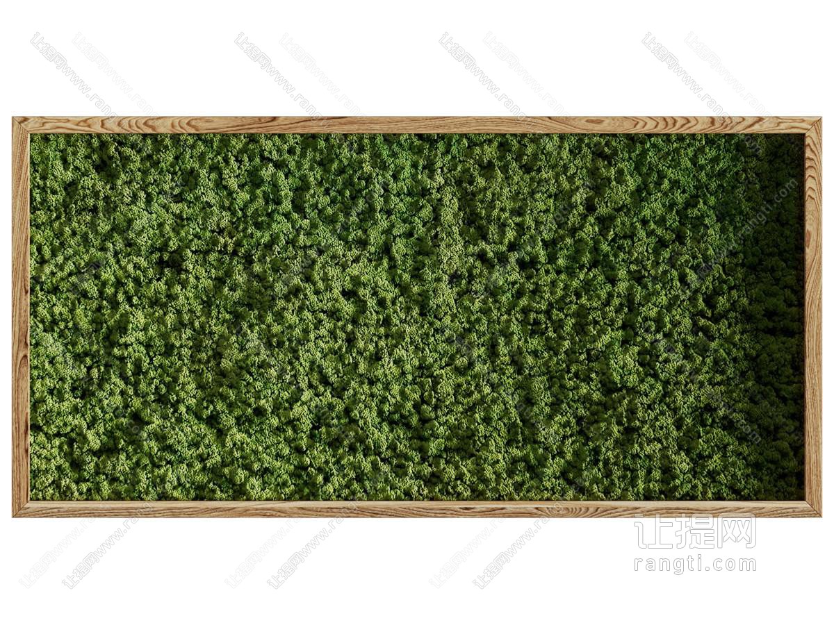现代长方形实木边框的植物墙挂画