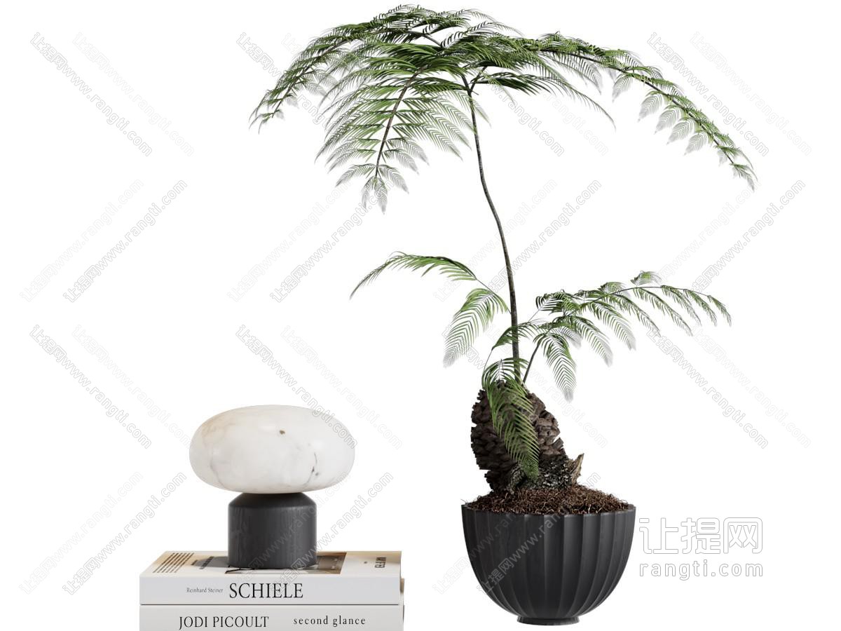 现代盆栽植物、书籍、台灯摆件组合