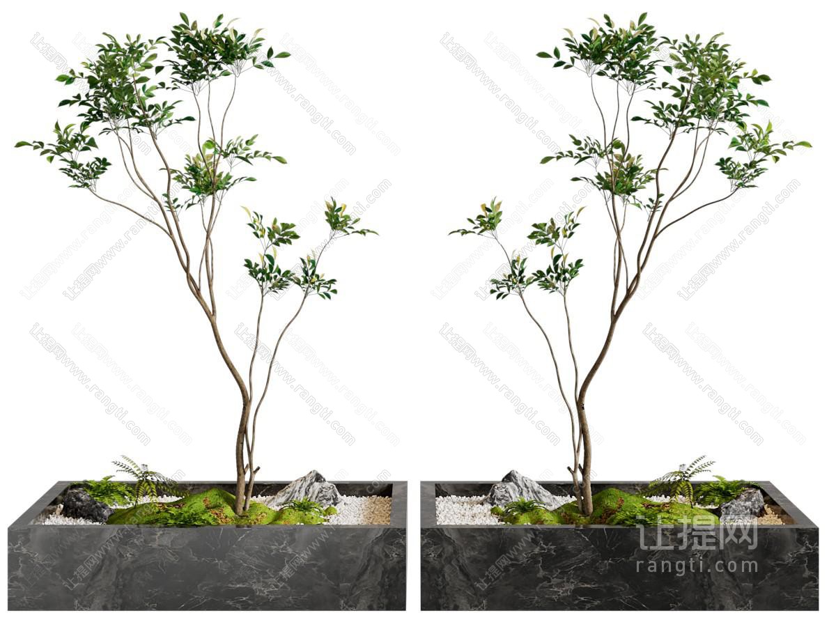 现代花坛植物景观园艺小品