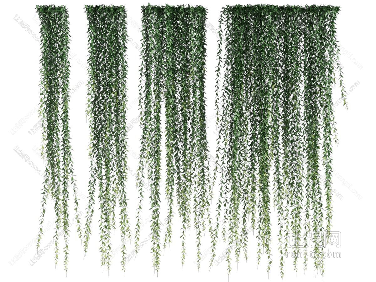 现代藤蔓、植物墙、吊篮绿植
