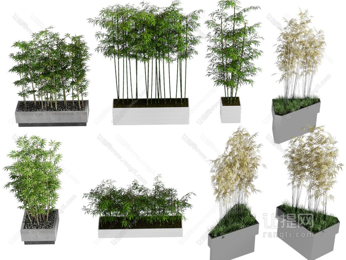 新中式户外花坛竹子盆栽植物
