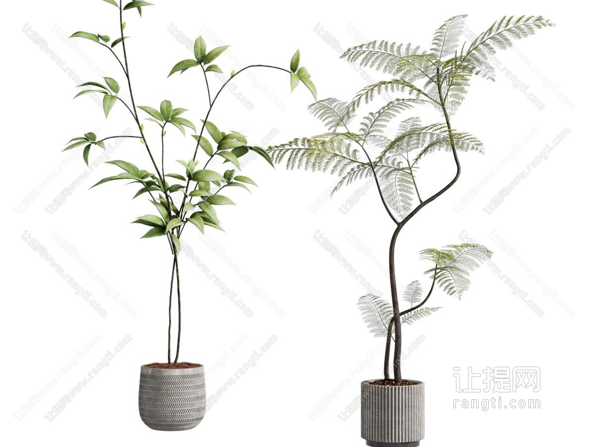 现代陶瓷花盆树枝盆景盆栽植物