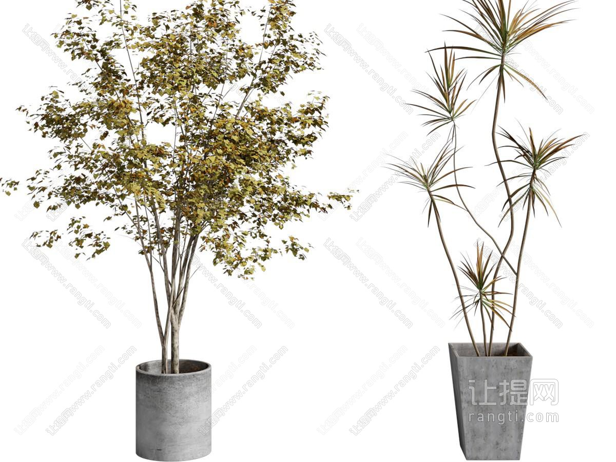 现代水泥花盆盆景盆栽植物