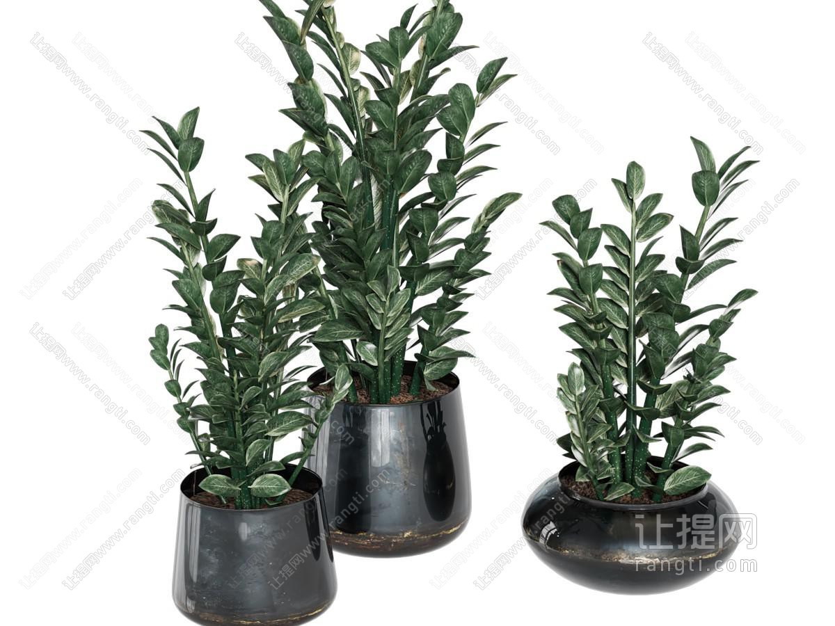 现代陶艺花盆盆景盆栽植物