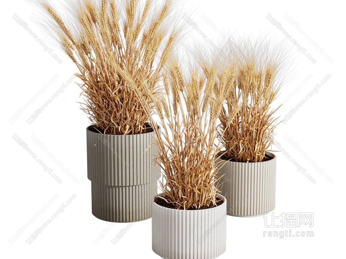 现代条纹陶艺花盆盆栽植物