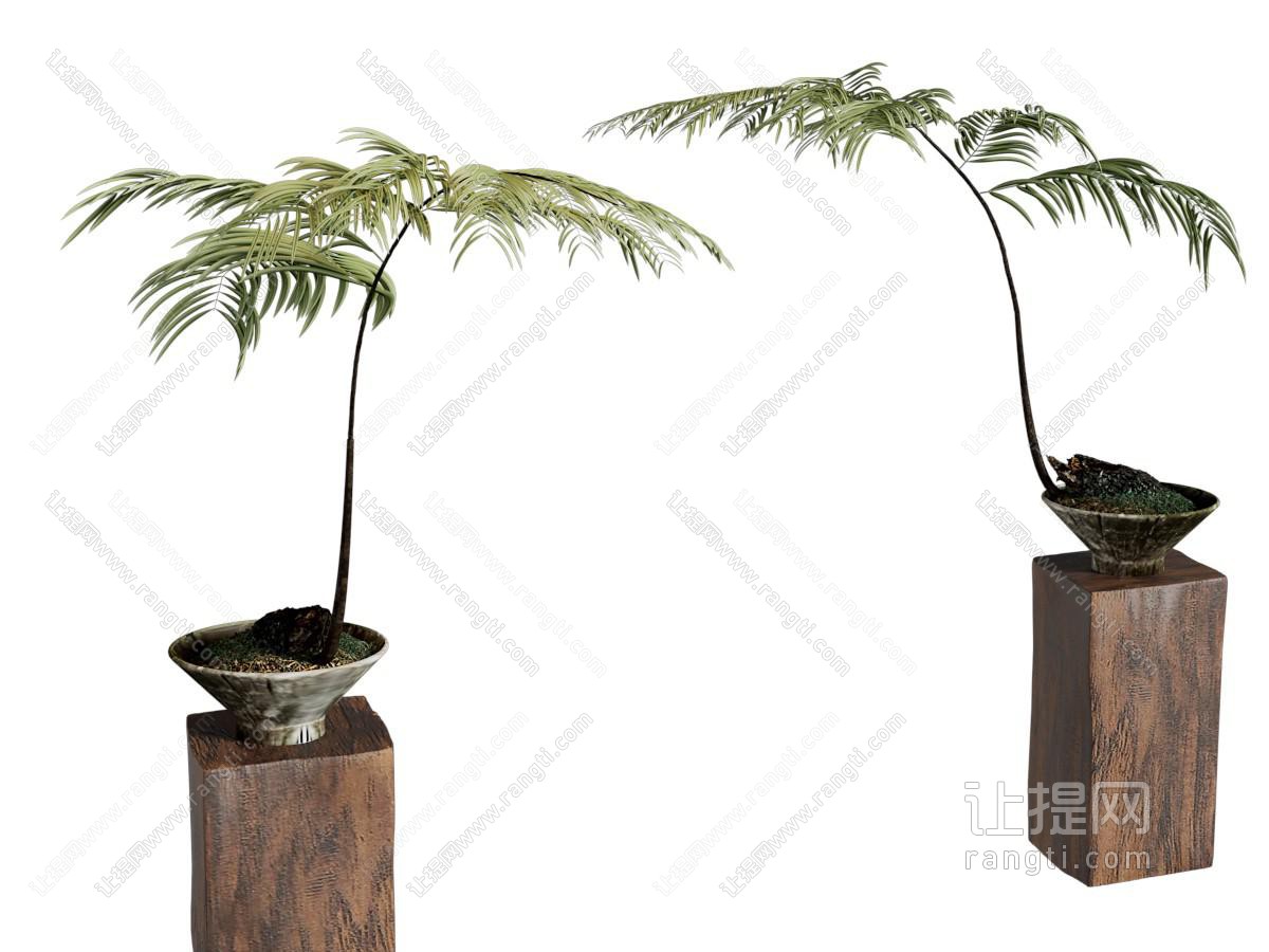 侘寂风盆景盆栽 摆件组合