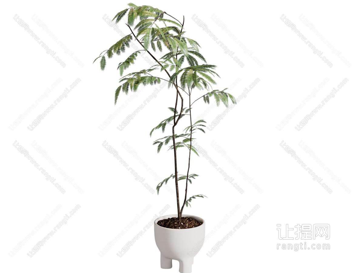 侘寂风陶艺花盆树木盆景盆栽植物