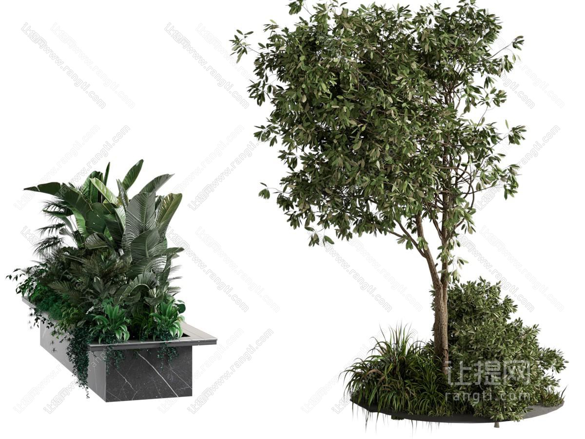 现代树池 花坛 景观树木