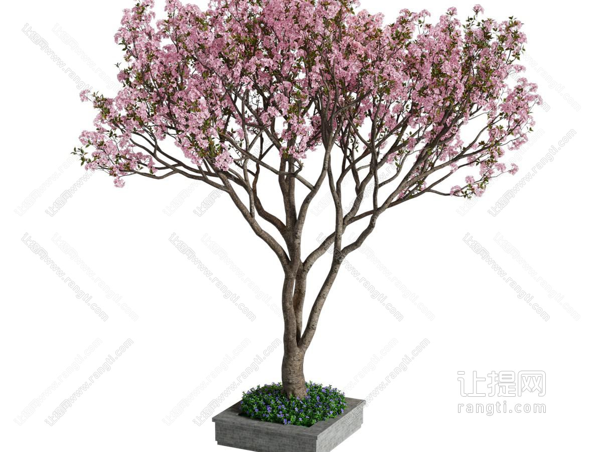 现代景观树木 花树