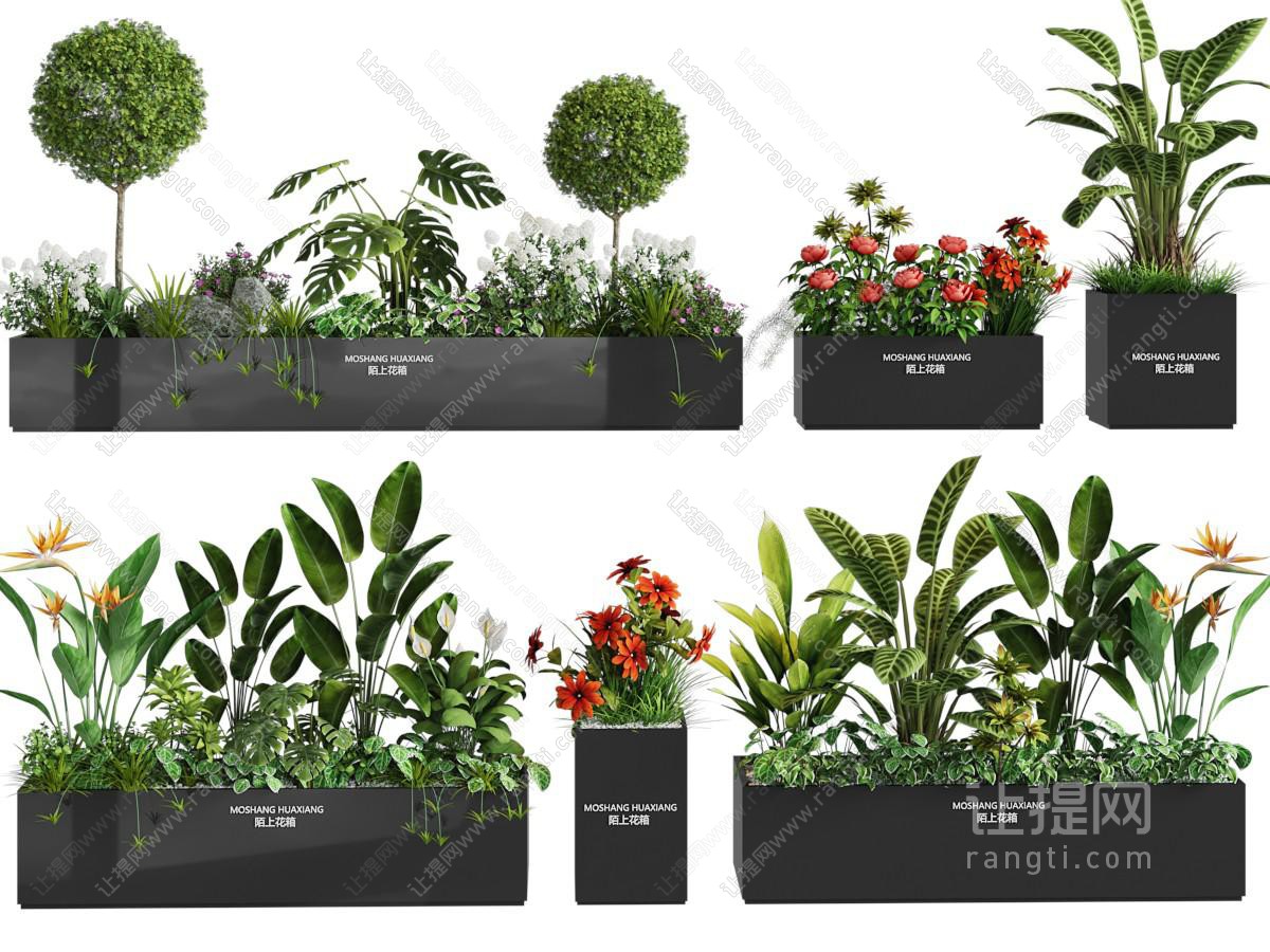 现代花箱花卉花草盆景盆栽植物