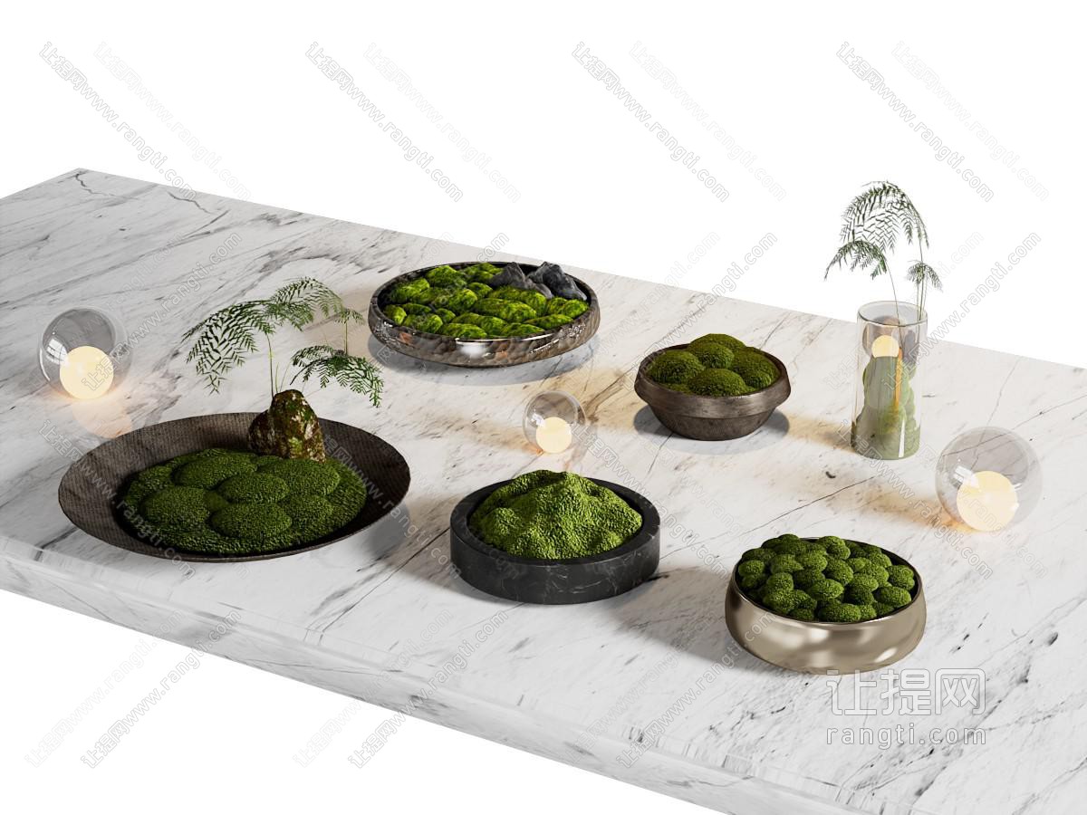 现代苔藓盆景盆栽植物 摆件组合