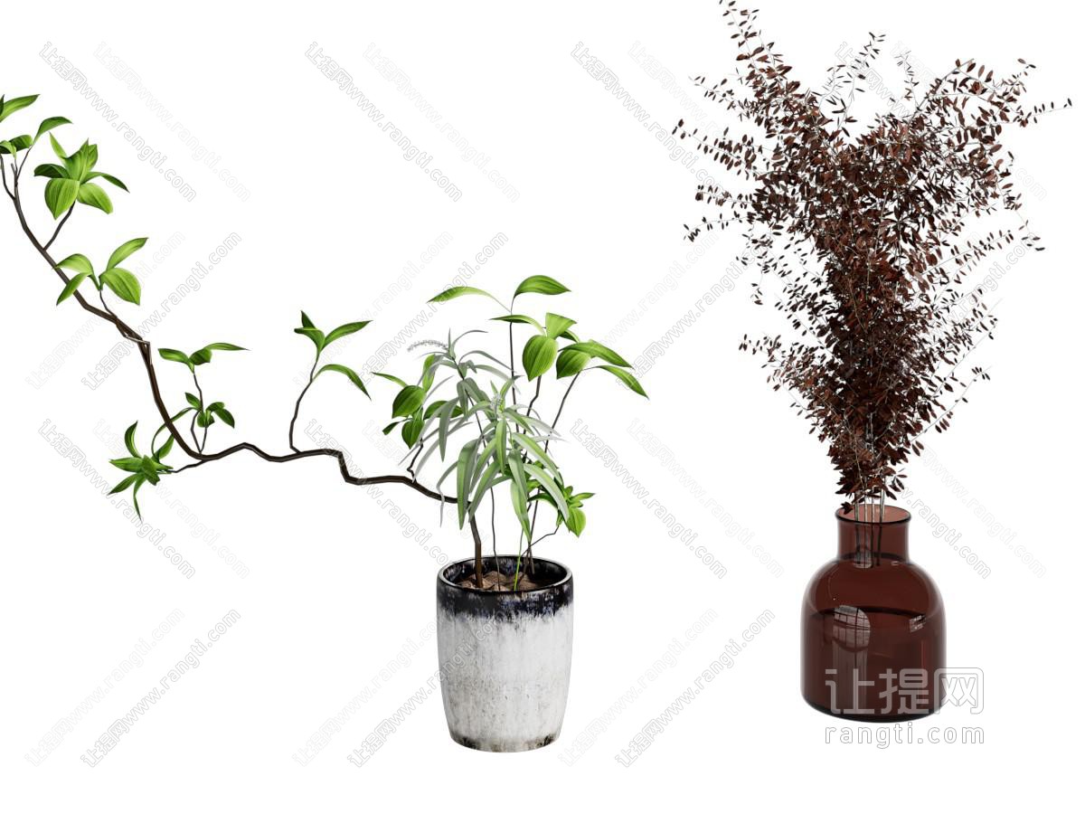 现代花瓶花卉