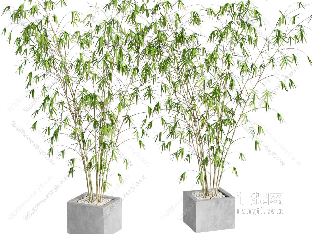 现代水泥花盆竹子盆景盆栽植物