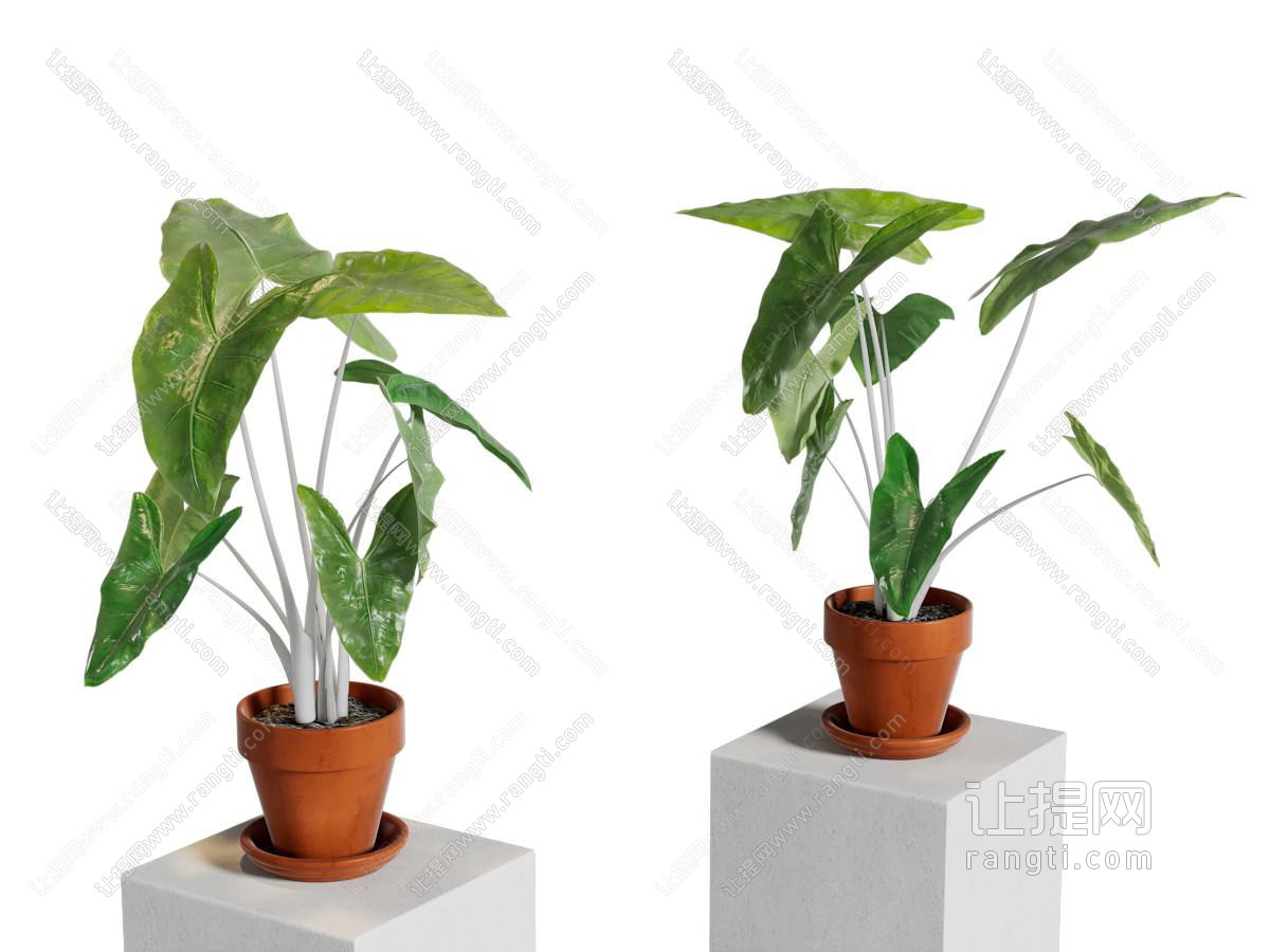 现代陶艺花盆盆景盆栽植物