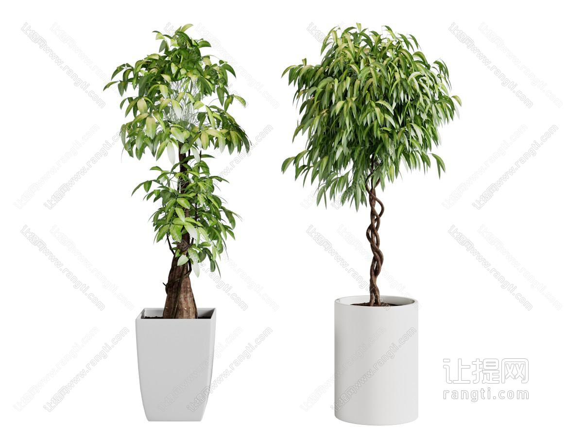 现代花盆盆景盆栽植物