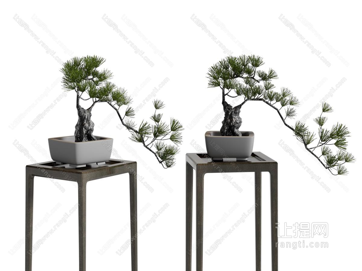 新中式松树盆景盆栽植物