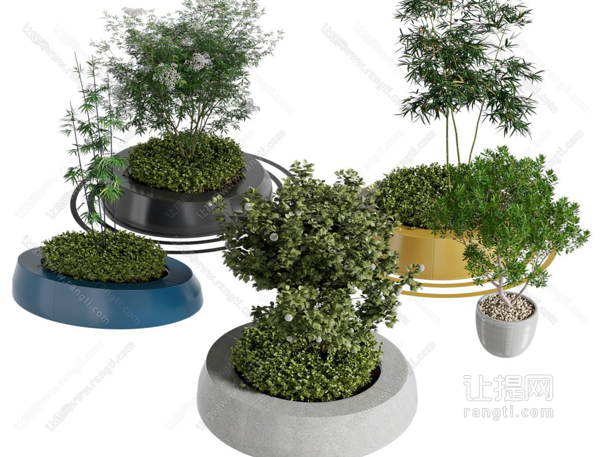 现代树池 景观树木