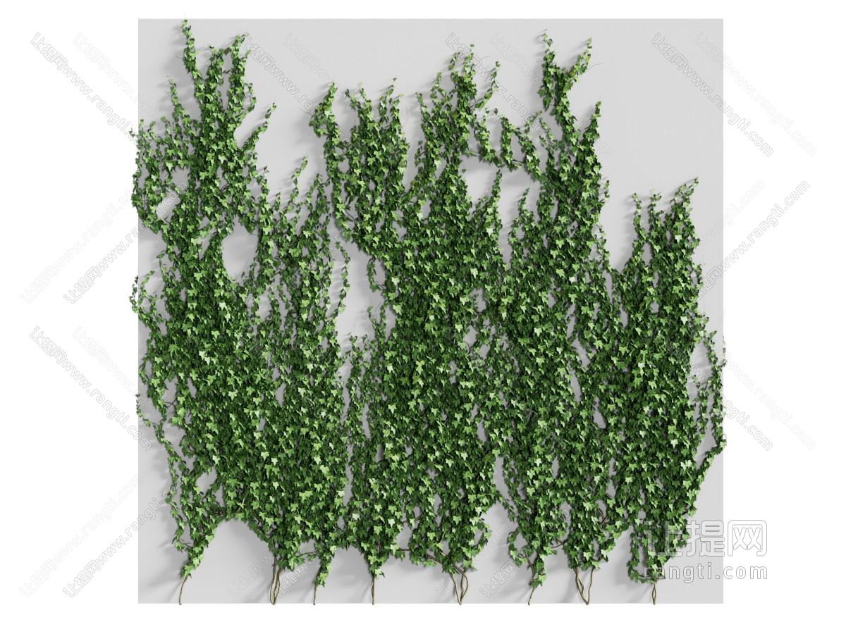 现代藤蔓装饰植物墙