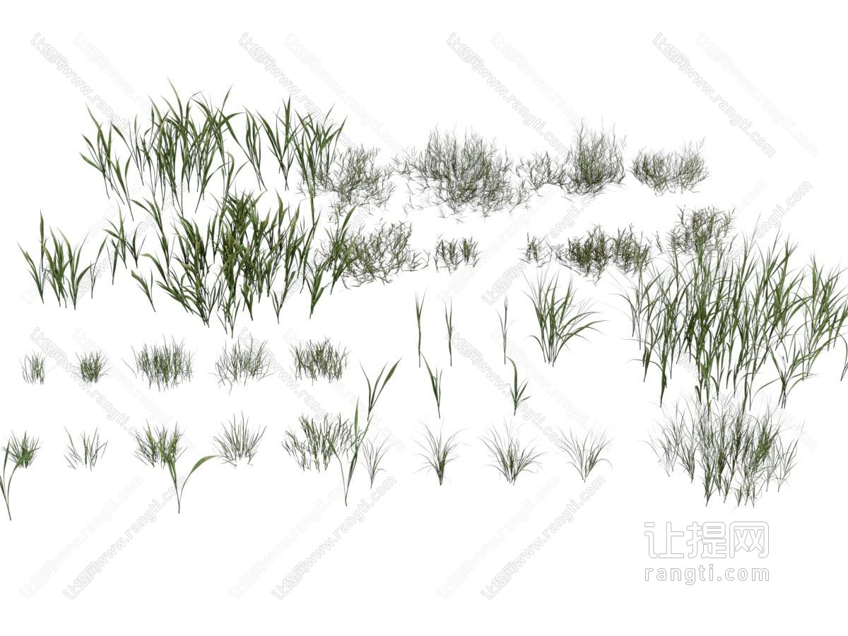 现代花草植物