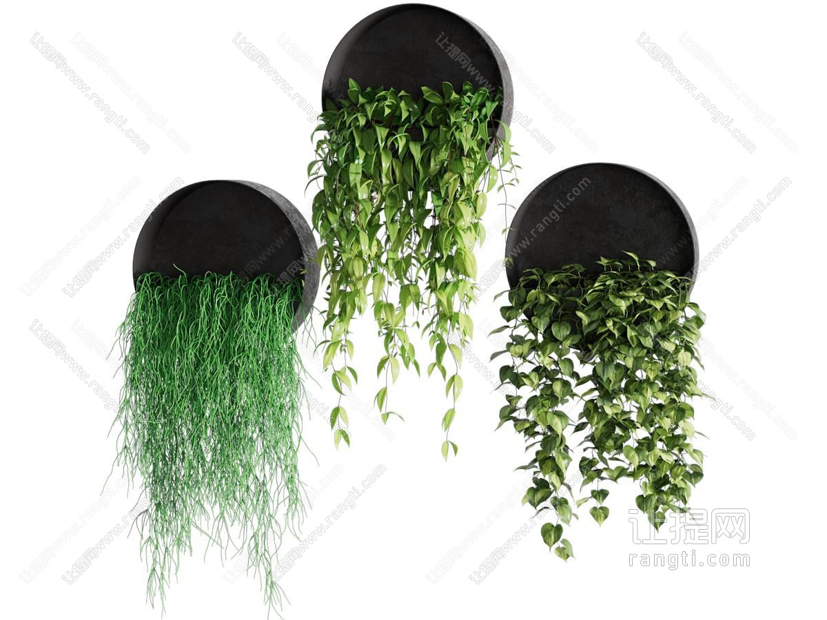 现代吊篮绿植 墙饰 植物墙
