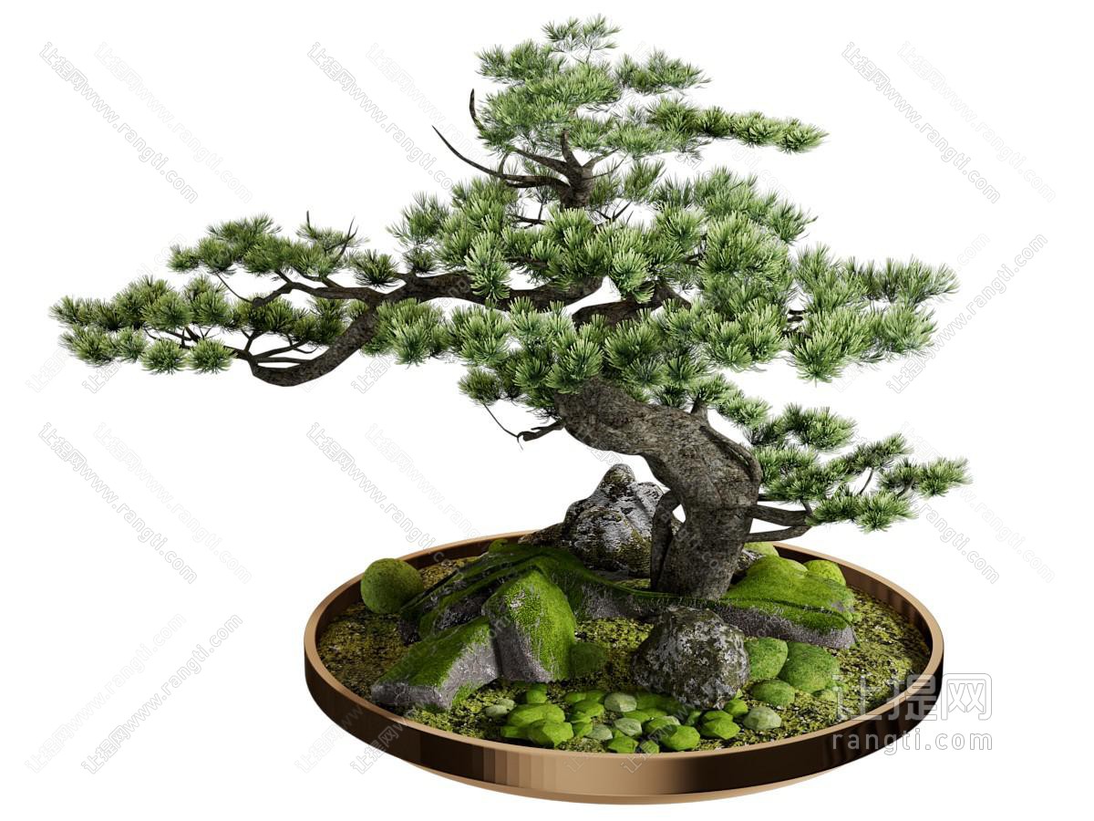 新中式松树盆景盆栽 摆件组合