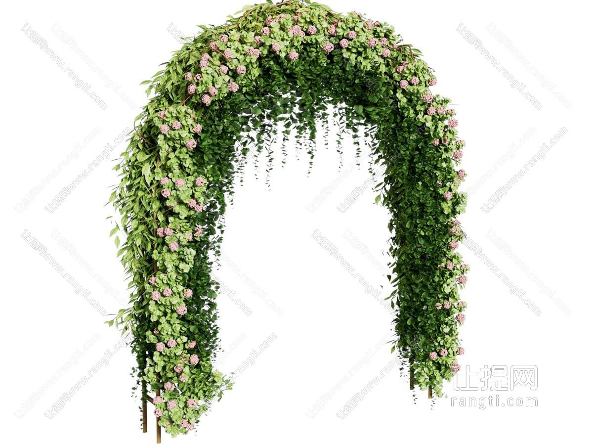 现代花卉门拱 门洞 花架 拱形门植物花架 花门