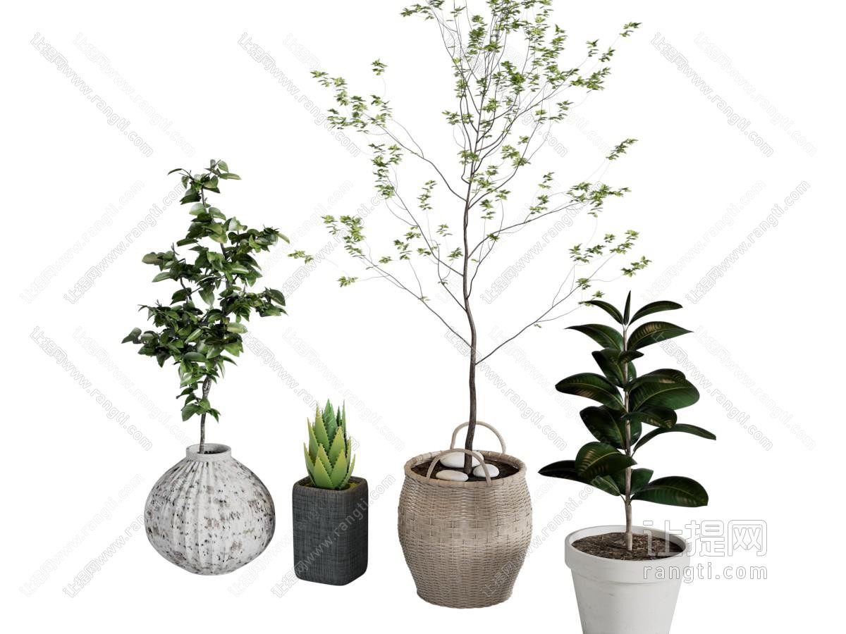 现代花盆盆景盆栽植物 摆件组合