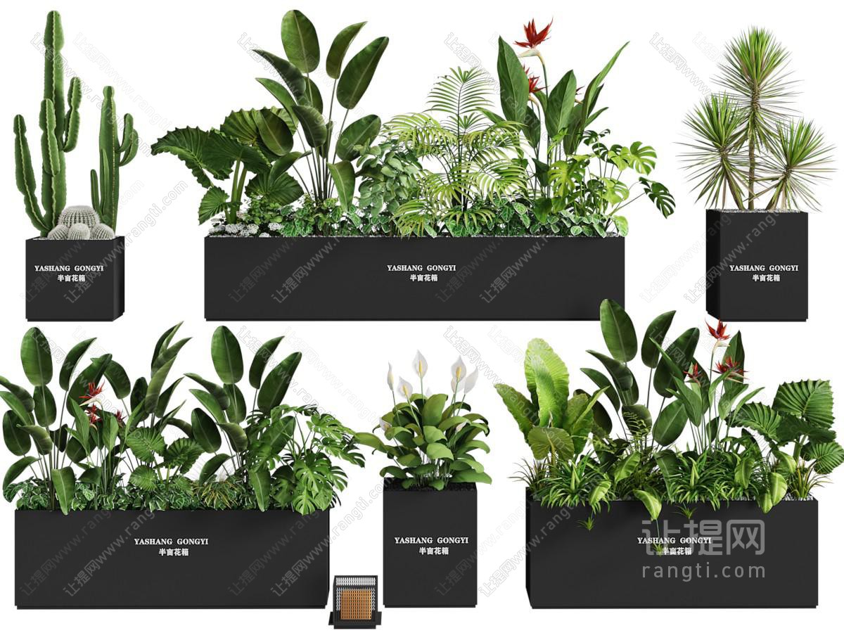现代户外花箱盆景盆栽植物