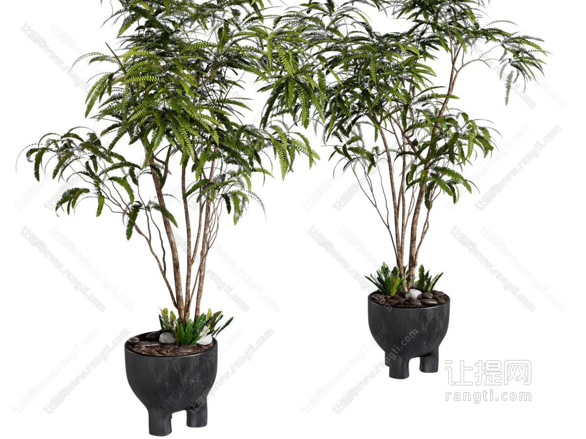 侘寂风花盆 盆景盆栽植物