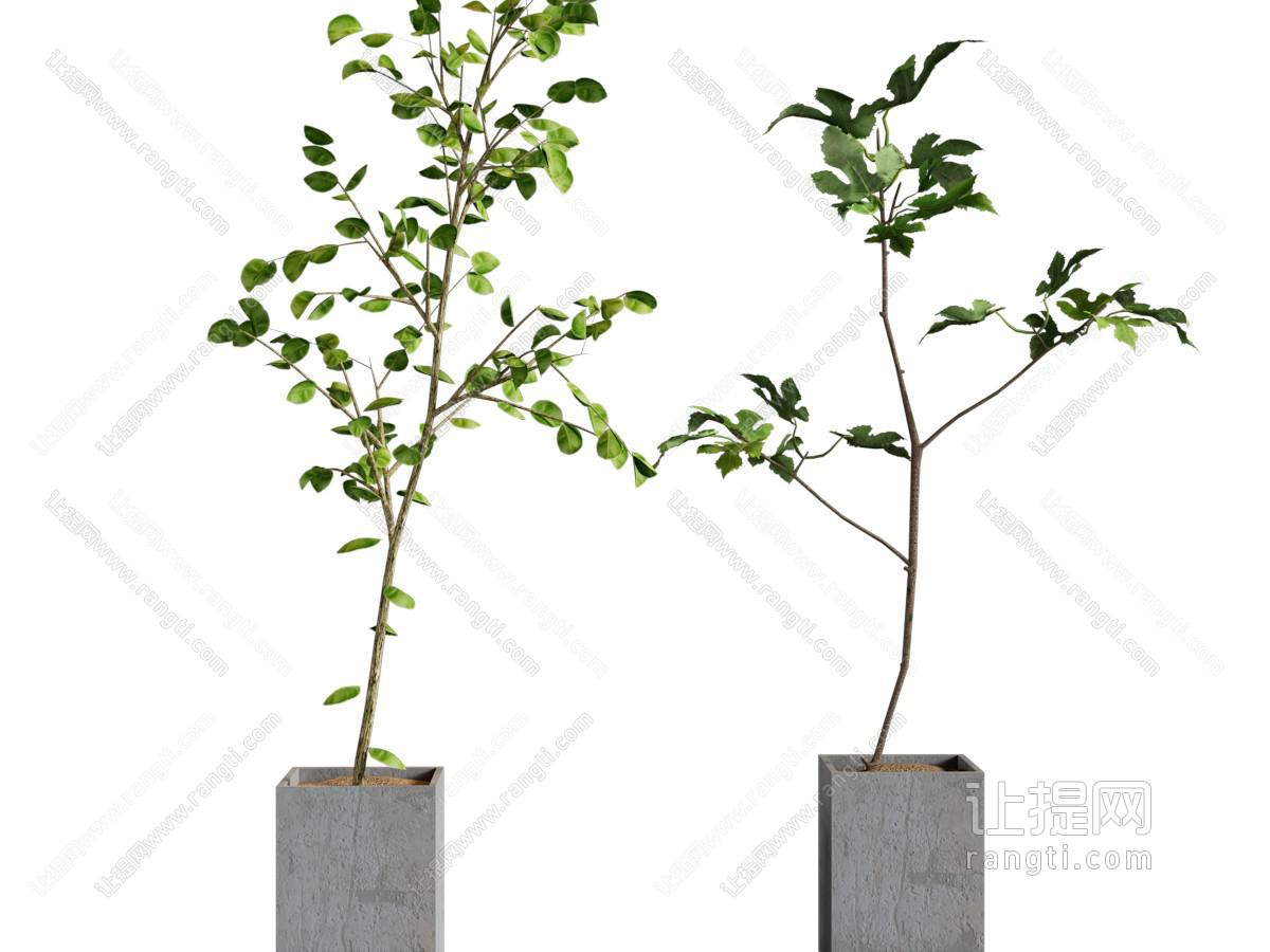 现代水泥花盆盆景盆栽植物