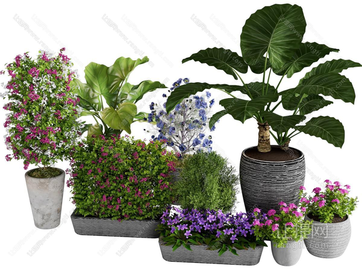 现代花盆花卉盆景盆栽植物