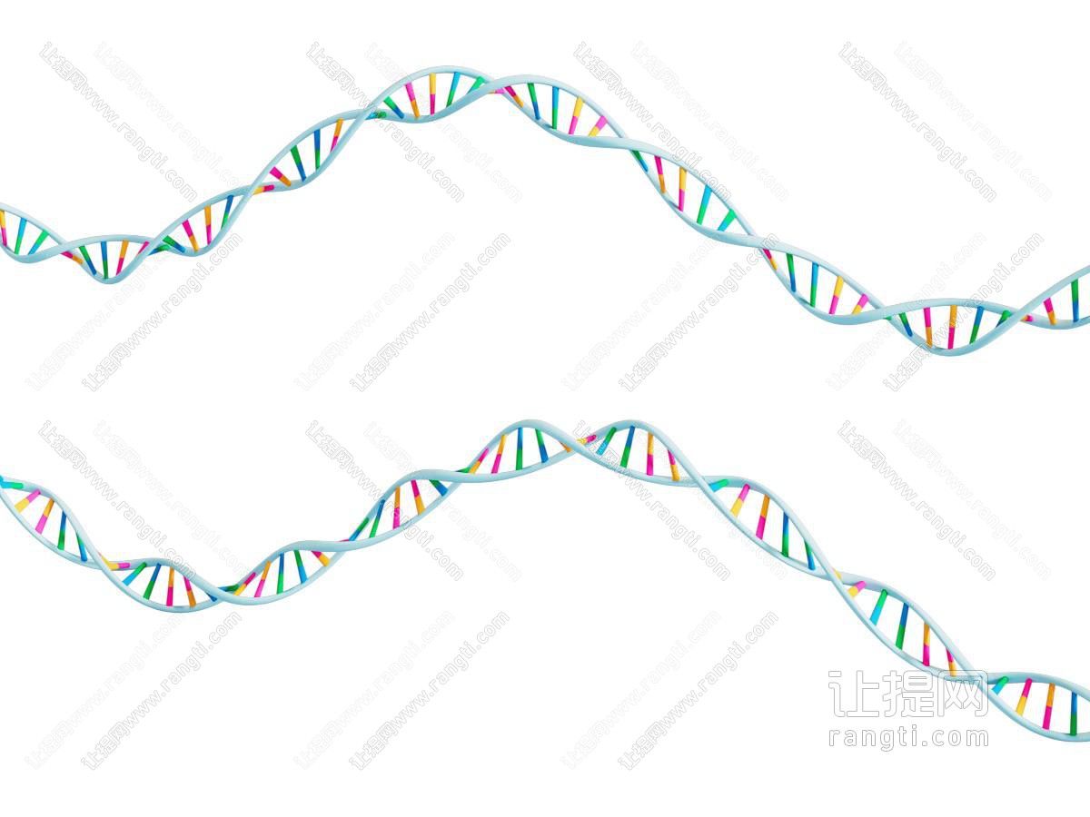 现代DNA分子链 基因链 脱氧核糖核酸