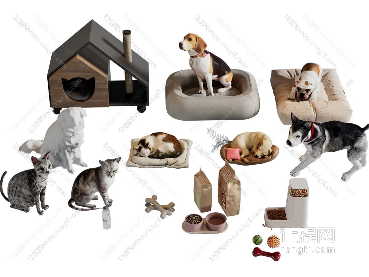 现代宠物狗 猫窝 爬行动物