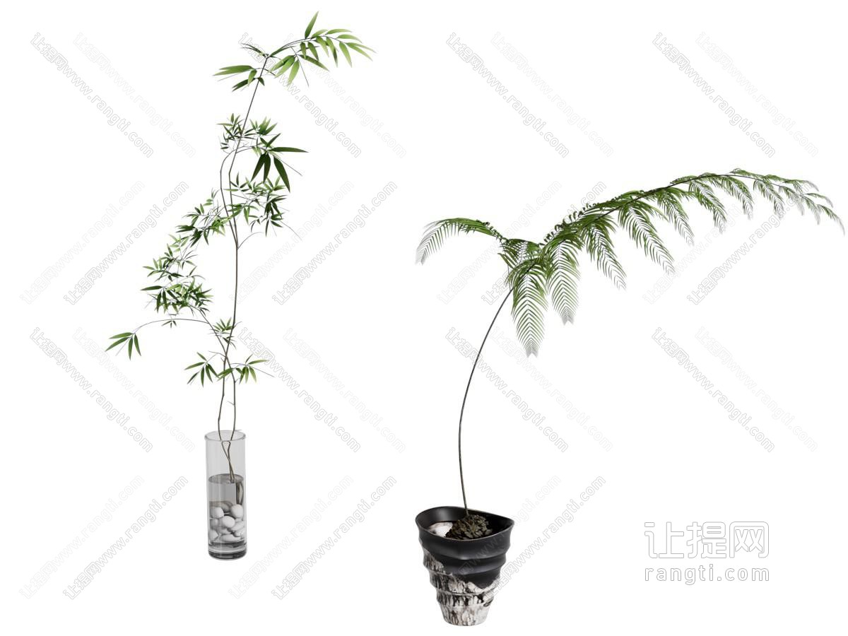 现代花瓶花卉