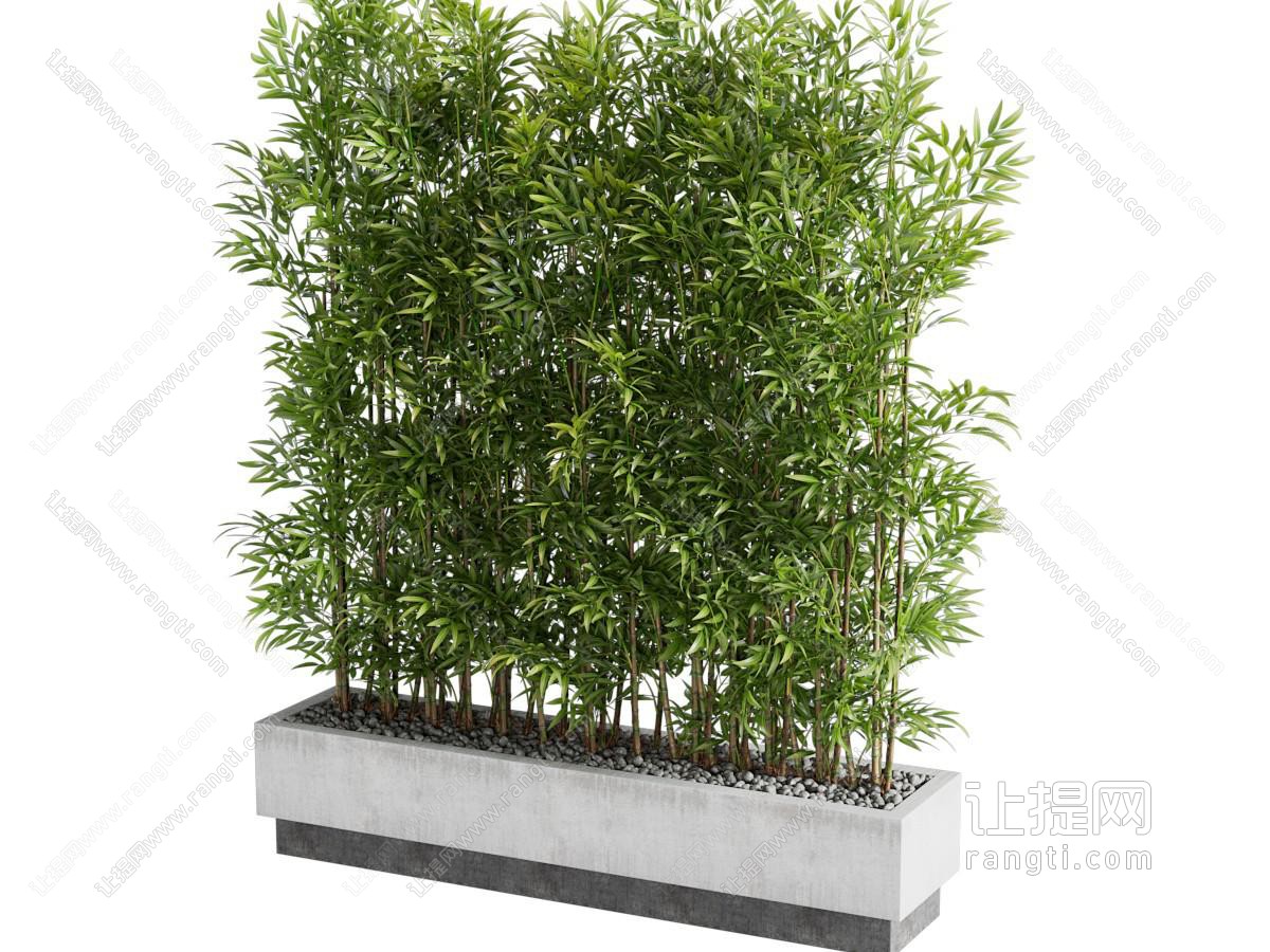 新中式花坛竹子盆景盆栽植物