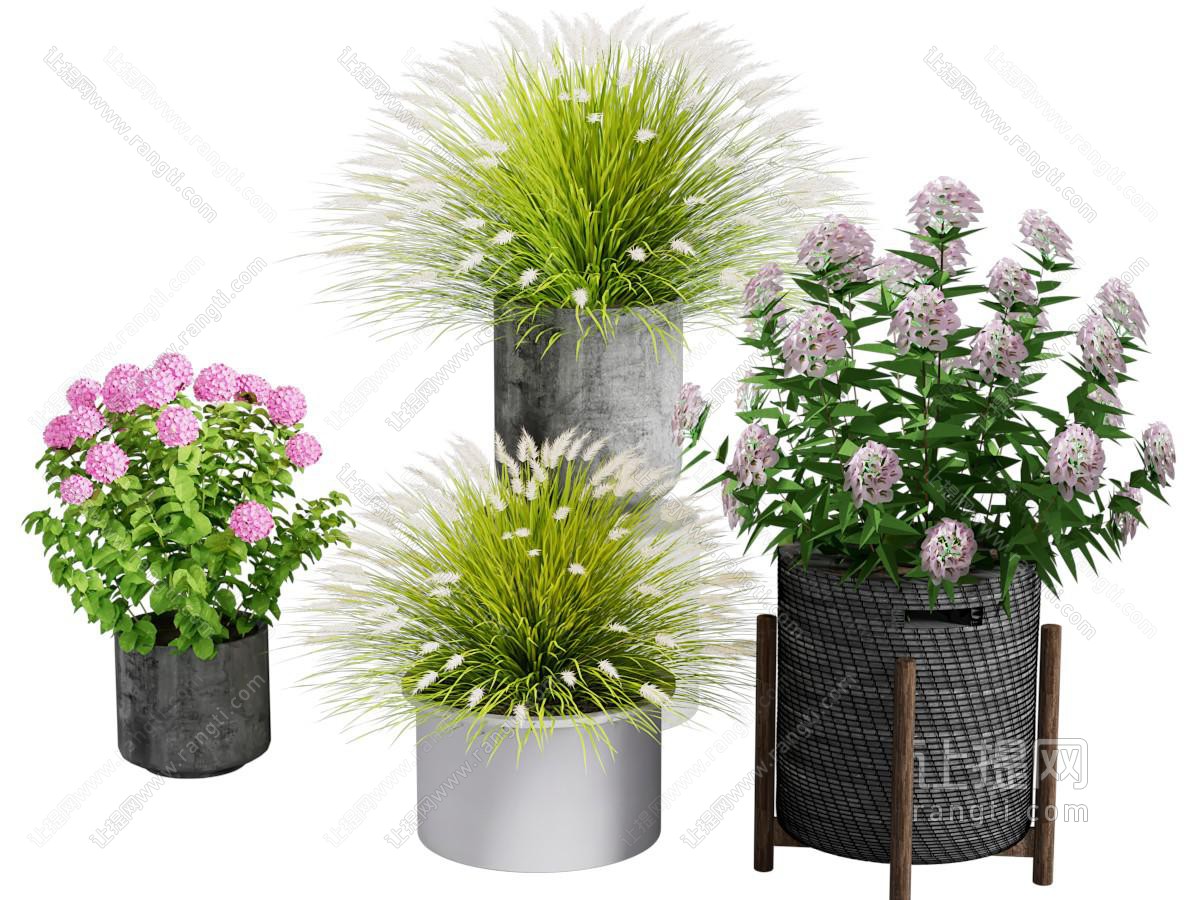 现代花盆盆景盆栽植物