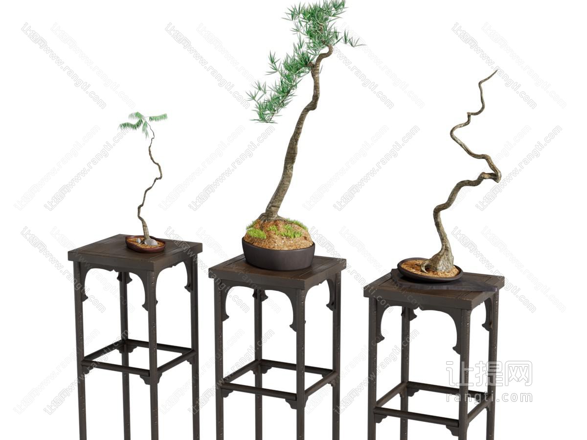 新中式松树盆景盆栽