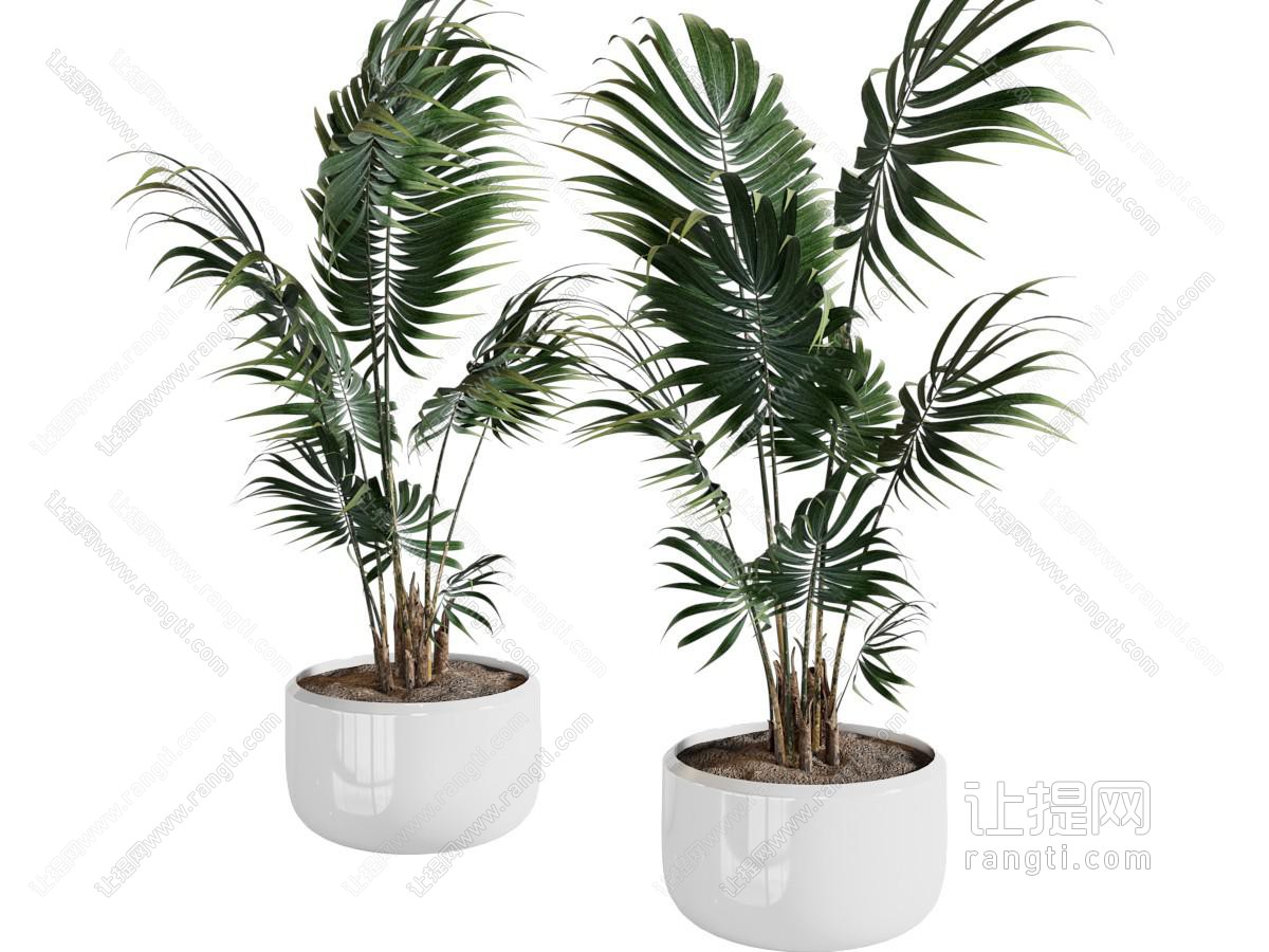 现代花盆盆景盆栽植物